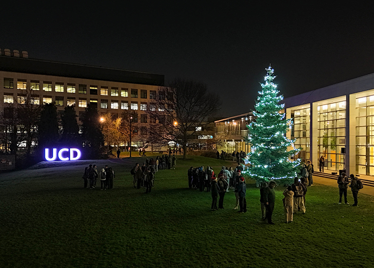 Festive lights: Christmas Tree lit up at Belfield